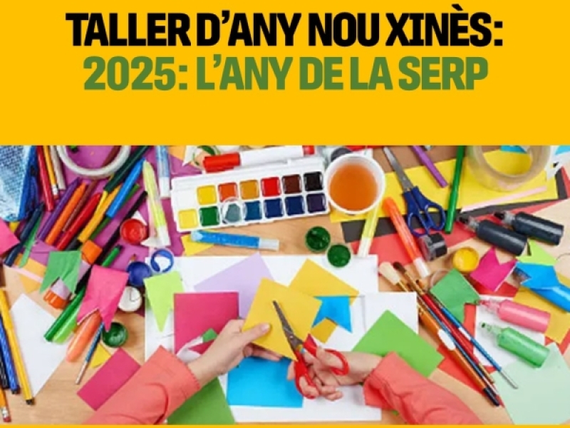 Tallers de descoberta: 2025: any de la serp.
