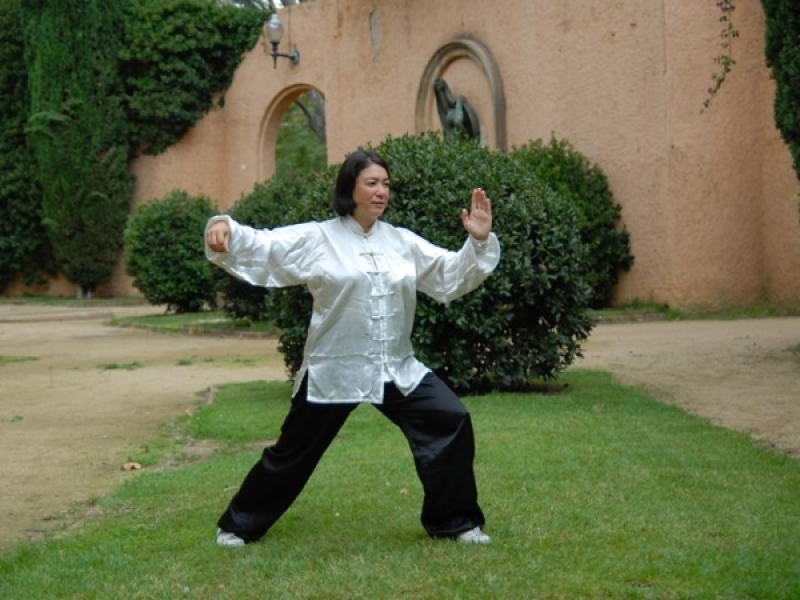Taller de Tai Chi i Txikung Taller de Tai Chi i Txikung