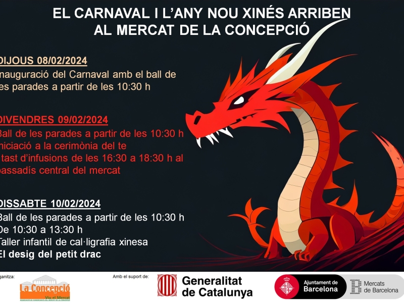 El Carnaval i l'any nou xins arriben al mercat de la Concepci (129)
