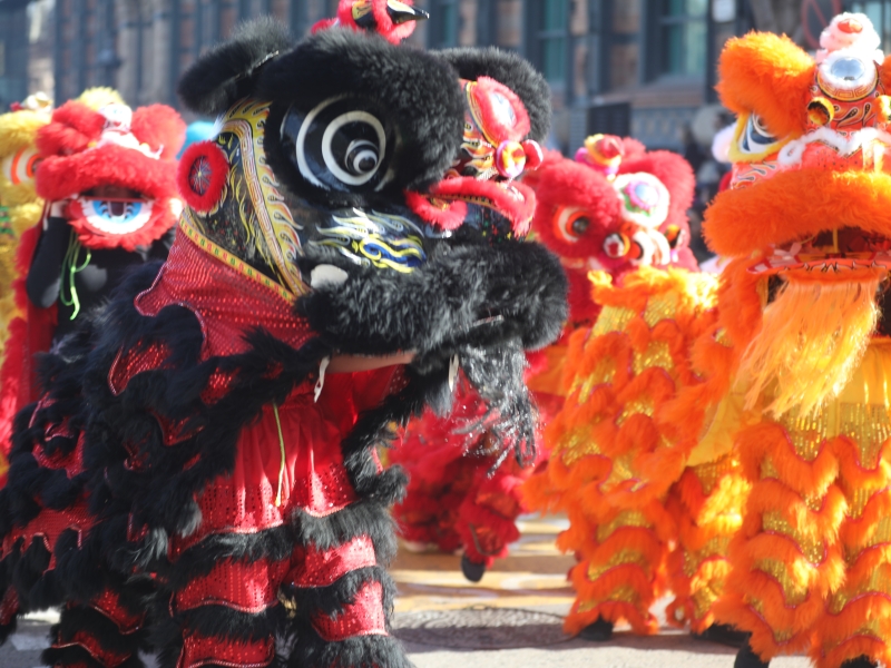 Associaci Grup d'Artistas Huaxing  (2)