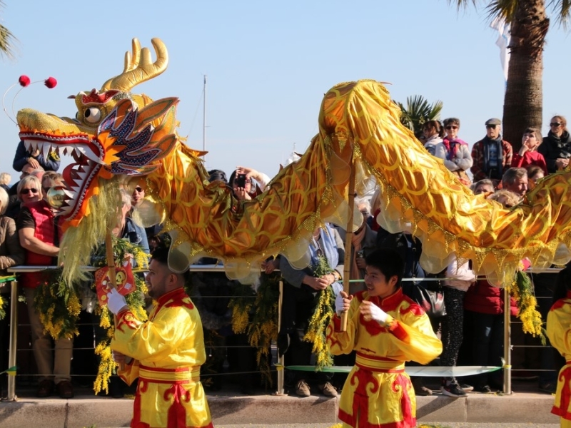 Associaci Grup d'Artistas Huaxing  (3)