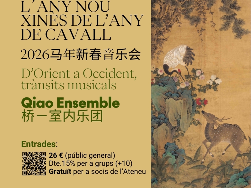 Concert de l'Any Nou Xin�s de l�Any de Cavall (277)