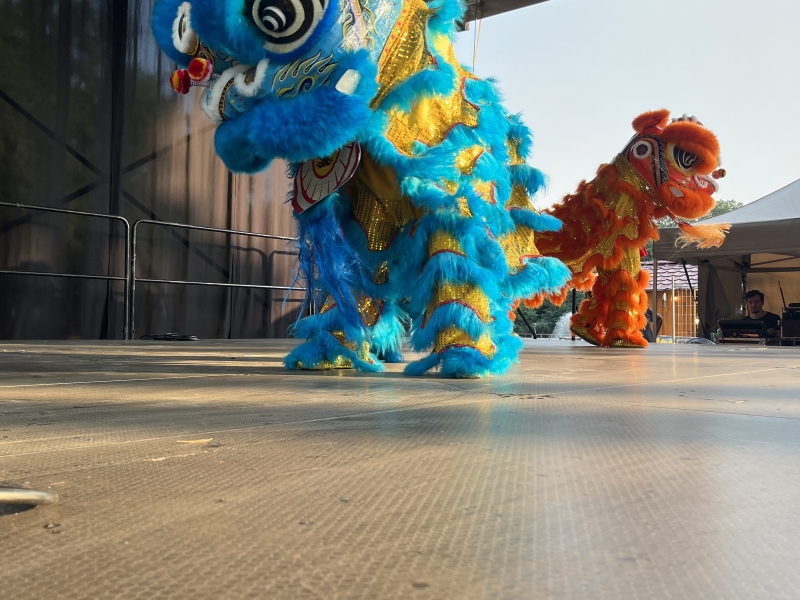 El Grup Barcelona Huaxing Arts Group Triomfa en el Carnestoltes de les Flors de Debrecen, Hongria (17)