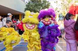 2025 Fiesta de faroles