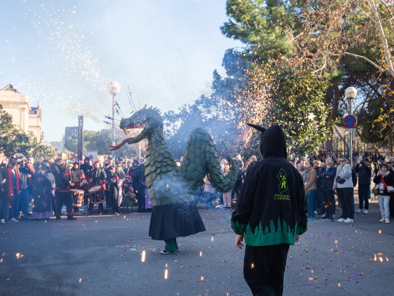 Llamada a la participacin 2026